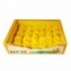 PULCINI 6CM/24PZ  - DS 26545