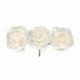 PICK W/12 PAPER ROSES CMØ3,5 WHITE  -