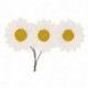 PICK W/12 PAPER SUNFLOWERS CMØ3,5  -