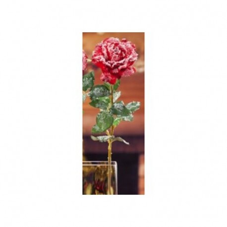 ROSA 57CM INNEVATA  - DS 16242