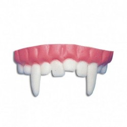 DENTIERA - 06508