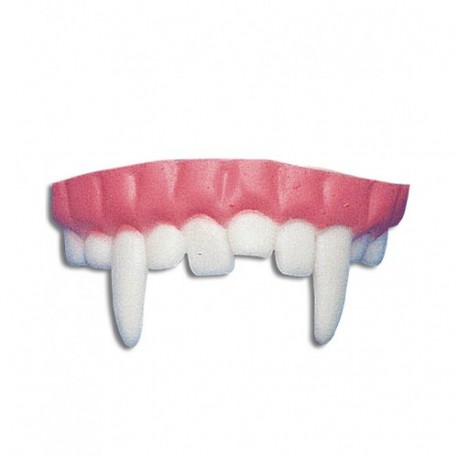 DENTIERA - 06508