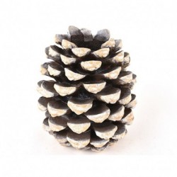 PORTA CANDELE 25X25X21,5CM  - DS 24597