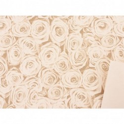 CARTA REGALO BEAUTY 70X100CM/25PZ BIANCO