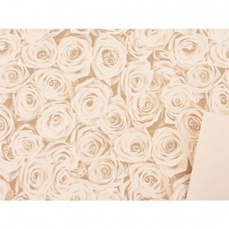FOGLI CARTA REGALO BEAUTY 70X100CM/25PZ