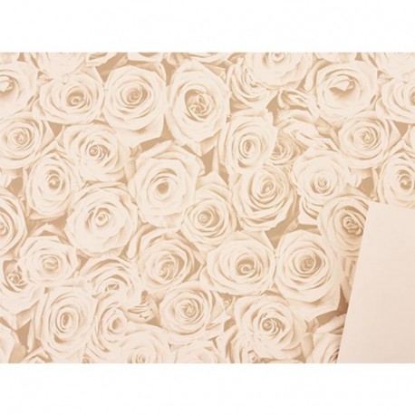 CARTA REGALO BEAUTY 70X100CM/25PZ BIANCO