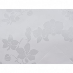 FOGLI CARTA REGALO PHALAEN.70X100CM/25PZ