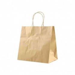 SHOPPER T/U 25X15X24 LARGE BIOKRAFT