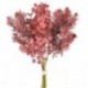 BACCHE PICK 35,5 CM ROSSO  - DS23323 05