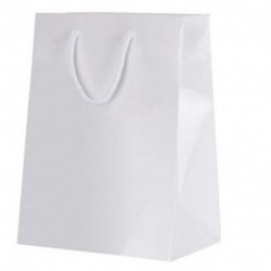 BORSA IN CARTA 25X25X25 ALIMENTARE