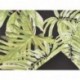 FOGLI CARTA REGALO GARDEN 70X100CM 25PZ