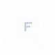 LETTERE ADESIVE "F" (25PCS) CM9X12  -