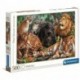 CLEM PUZZLE 500 GATTI SELVATICI  - 35126