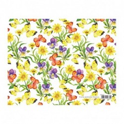 SC. CARTA REGALO 70X100 GARDEN (MV100FF)