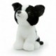 PELUCHE MORBIDELLI BORDER COLLIE LILLO 2