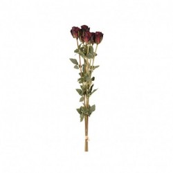 ROSE MAZZO 87CM X8 BORDO  - DS 44534 06