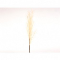 RAMO DI CANNA 103CM BEIGE  - DS 44802 02