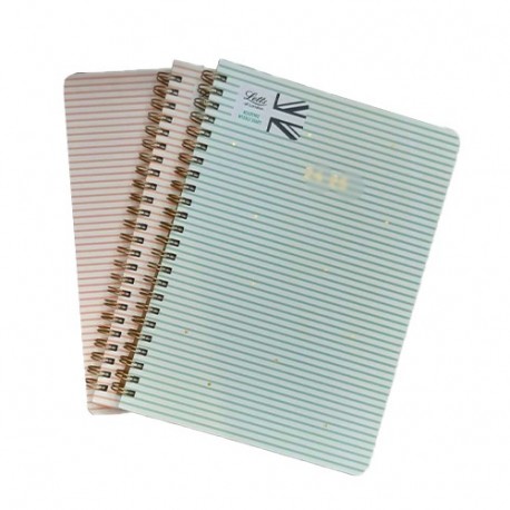 LETTS AGENDA A5 24/25 SETT SPIR. STRIPES