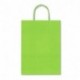 BORSA IN CARTA 36X12X41CM VERDE MELA