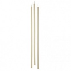 CANDELE STELO 37CM 12PZ AVORIO- 56212.02