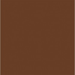 CARTONCINI FAVINI BRISTOL 100X70