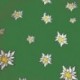 CARTA REGALO VERDE TIROLESE 5KG. 70X100