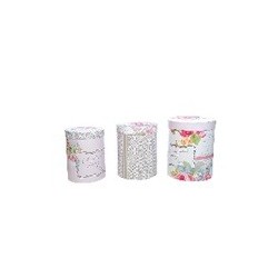 STELLE FILANTI FANTASIA -153225  -