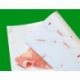 CARTA  POLITENATA 45+9 QUADRIF. 33X40 10