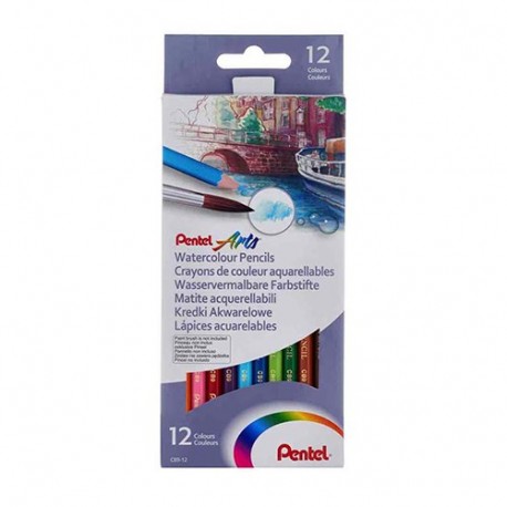 PASTELLI ACQUERELLABILI WATERCOLOR 12PZ
