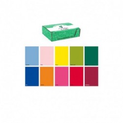 SC. CARTA REGALO 70X100 TINTA UNITA ASS