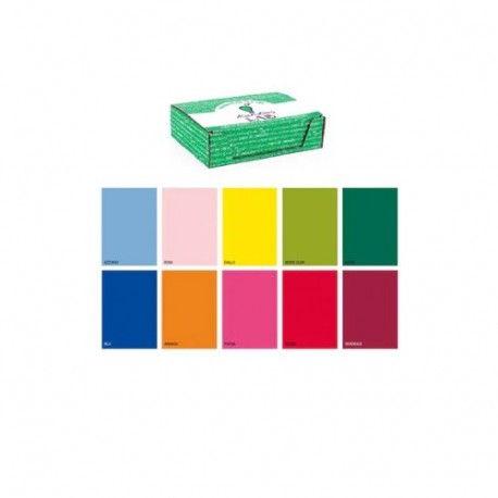SC. CARTA REGALO 70X100 TINTA UNITA ASS