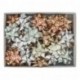 36 STELLE 68349 MM 20  - 32349