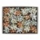 50 STELLE 68349 MM 15  - 31349