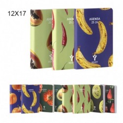AGENDA 12 MESI GIORNALIERA 12X17 READY T
