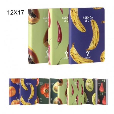 AGENDA 12 MESI GIORNALIERA 12X17 READY T