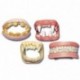 LIBRO+CONF. REGALO - 06252