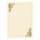CARTA DIPLOMA PERGAMENA DEC. ALLEGRO