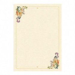 CARTA DIPLOMA PERGAMENA DEC. ALLEGRO