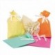 BUSTA REGALO 35X50 R A I N Y ASS.  -