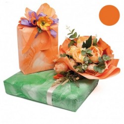 BOBINA  1,00X25MT F/ARANCIO VENEZIANO  -