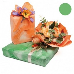 BOBINA  1,00X25MT F/VERDE VENEZIANO  -