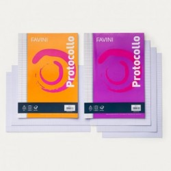 FOGLI PROTOCOLLO FAVINI 60GR 30PZ 1R  -