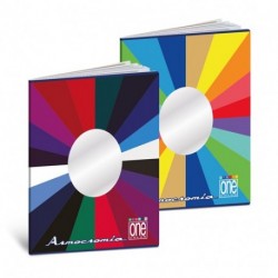 MAXI C ONE COLOR ARMOCROMIA 80GR