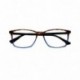 OCCHIALI DOUBLE TARTARUGA BLU+200  -