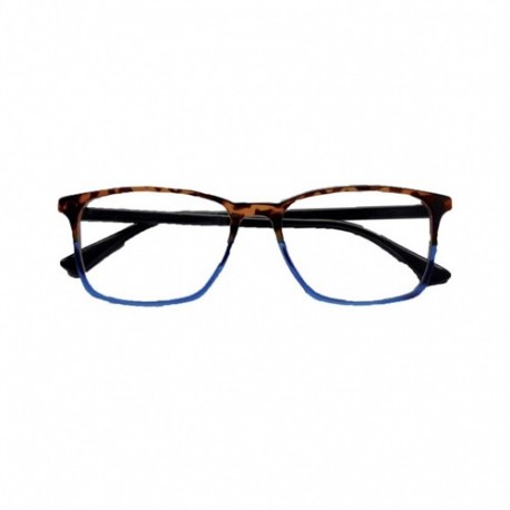 OCCHIALI DOUBLE TARTARUGA BLU+200  -