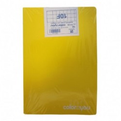 MAXI 100GR 10F TQ COLOR X YOU  - 11135