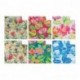 SC. CARTA REGALO REX CLUB 60F.  -