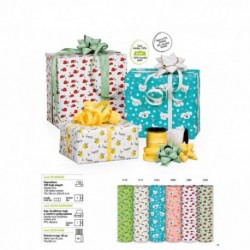 SC. CARTA REGALOECOCARTA 100F.  -