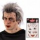 CARTELLA TATUAGGI VISO RAGNI  - 04936
