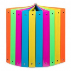 RACCOGLITORE PPL FLUO A4 D.30 4 ANELLI